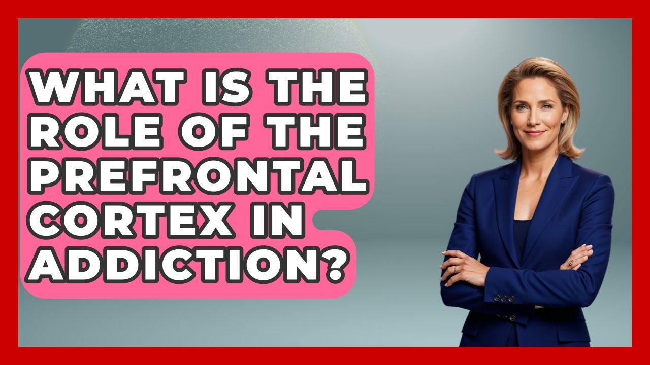 What Is The Role Of The Prefrontal Cortex In Addiction? - Mind Over Substance