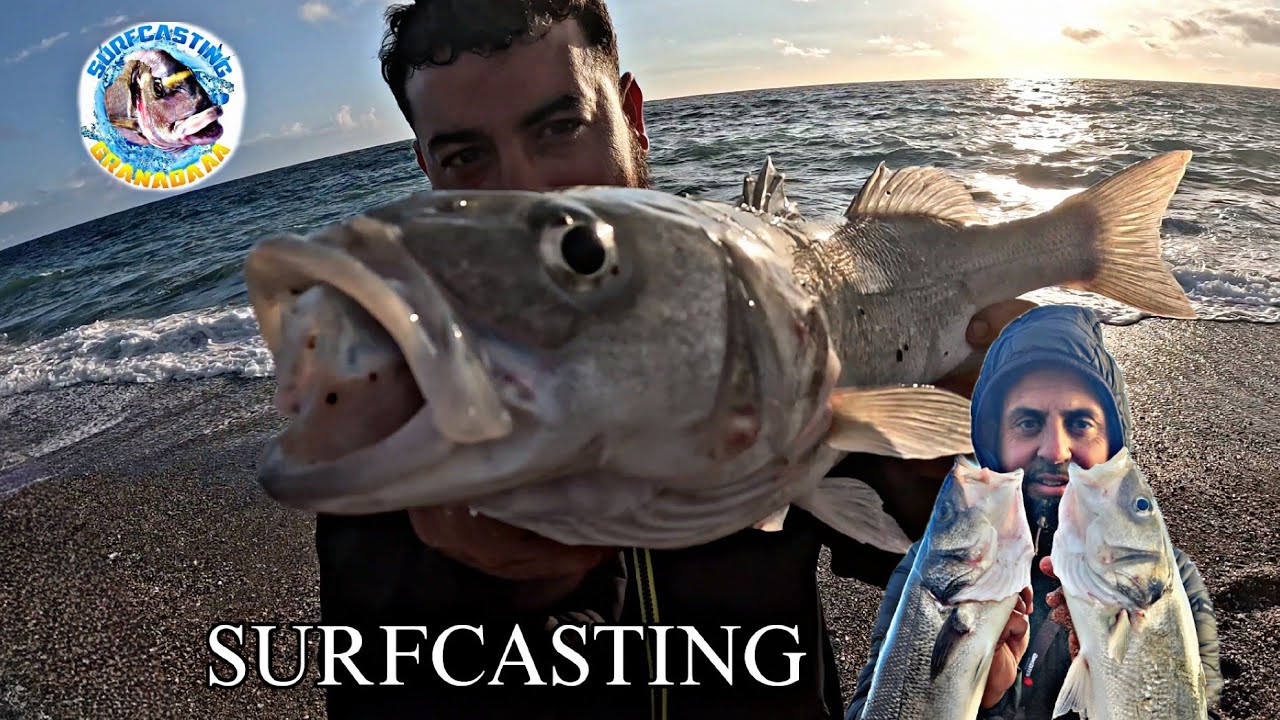 DIMOS CON ELLAS. PESCA SURFCASTING EN ADRA, BUSCANDO LA LUBINA... SURFCASTING GRANADA
