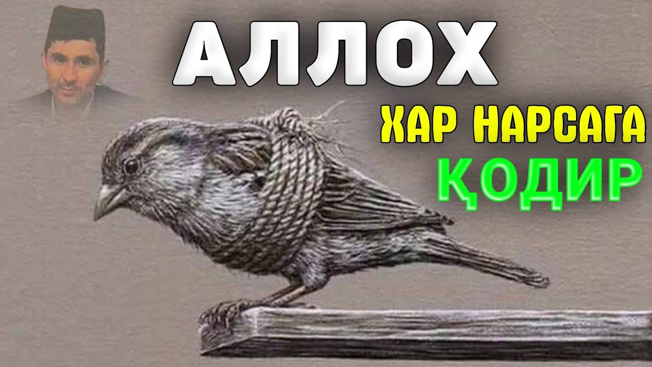 Абдуллох Домла-Қийн кун бошизга келганда тингланг!-Abdulloh Domla #abdullohdomla #namoz #salovat