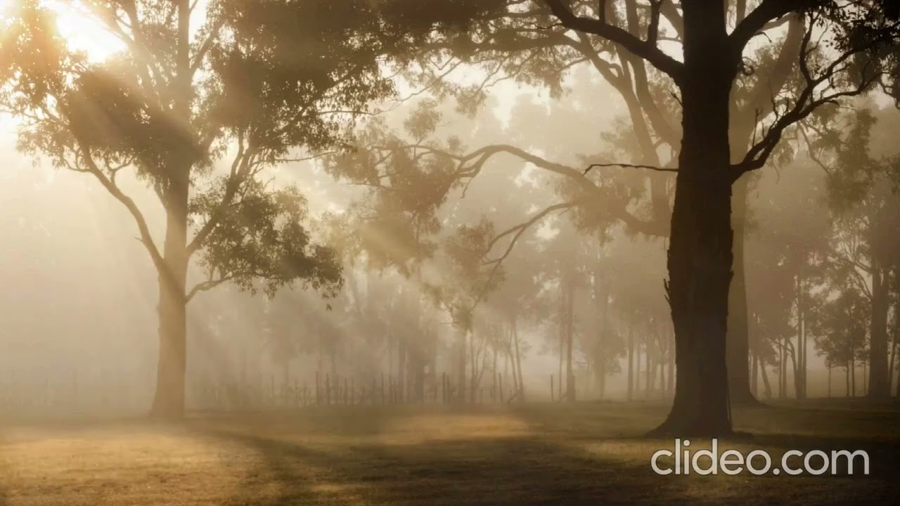 Harika bir Piyano Dinletisi