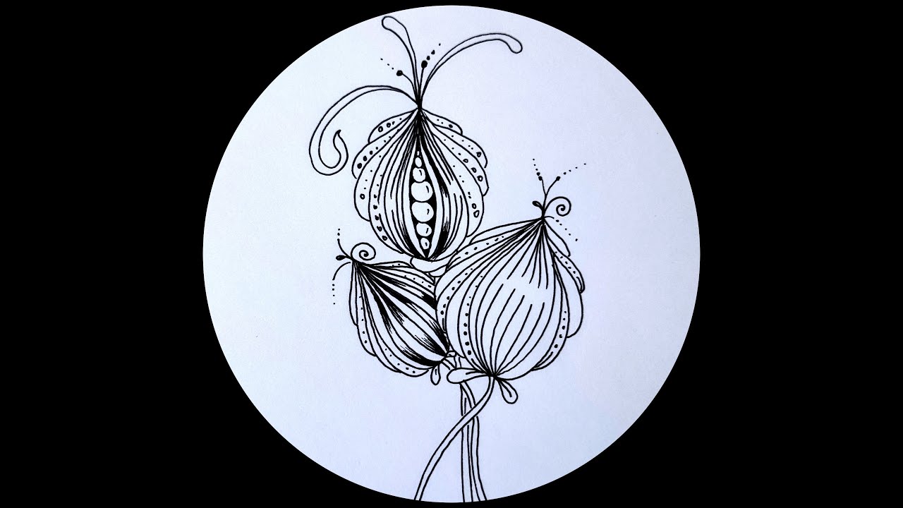 Zentangle Christmas Buds  || Drawing Tutorial || step by step || drawing guide