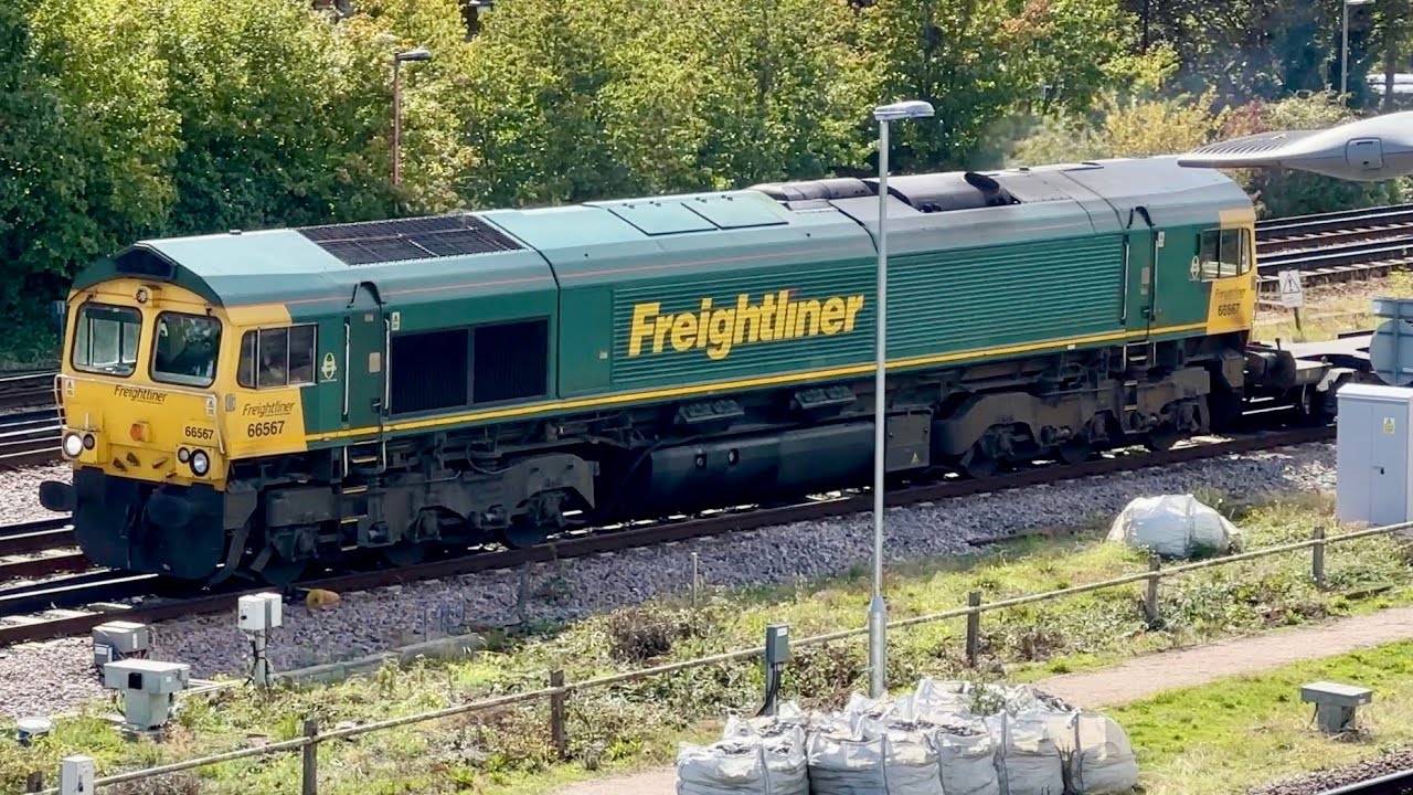 Freightliner Class 66 at Basingstoke, SWML, 12/9/2025 | Boom Trainspots