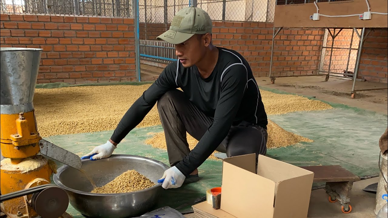 #របៀប​លាយ​ចំណី​មាន់​ប្រចាំ​ទ្រុង​ឥន្ទ្រី​ស​ខេត្តក្រចេះ​