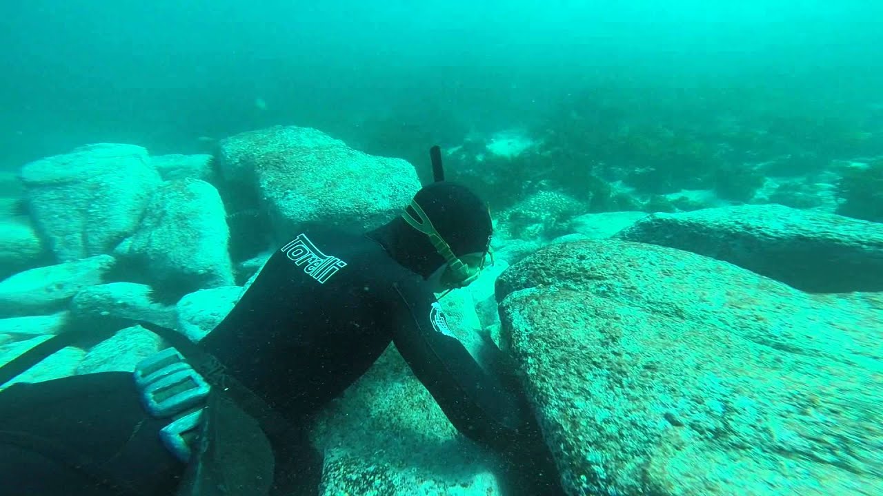 LOBSTER Diving