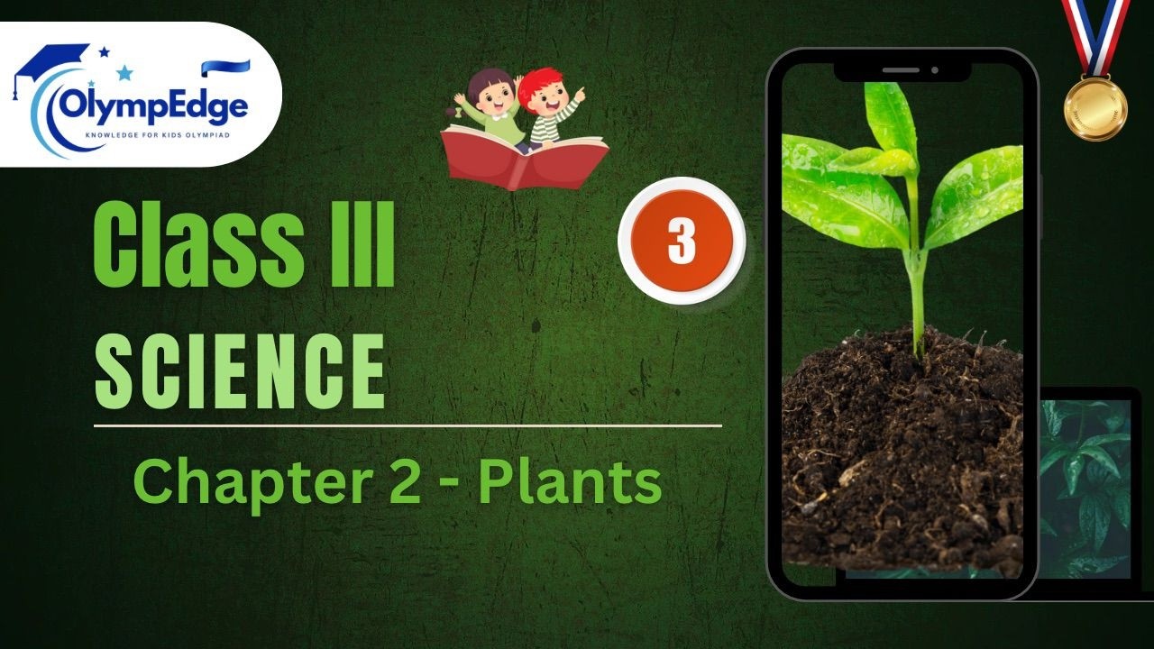 Olympiad Class 3 Science– Chapter 2 | Easy Explanation | Olympedge