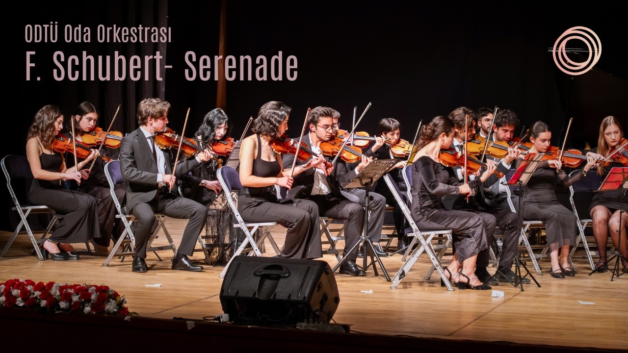 F. Schubert - Serenade