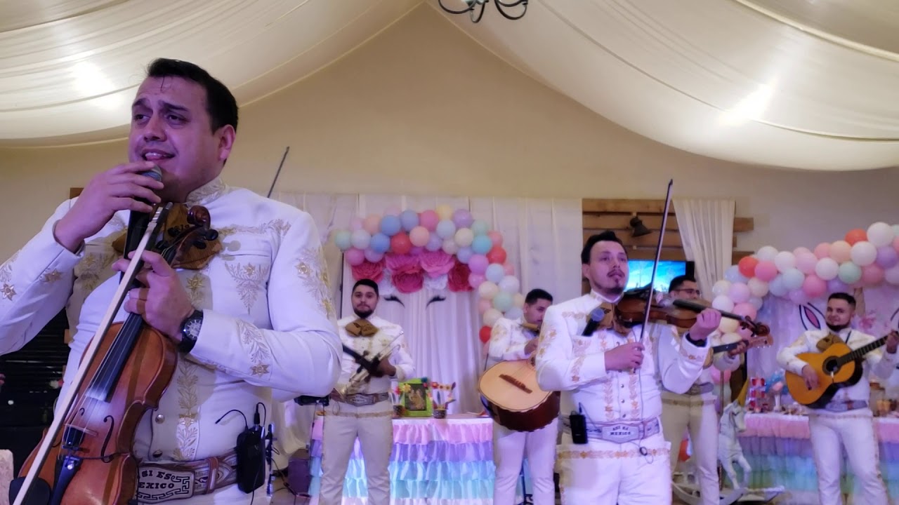 Caballo Viejo Con #MariachiAsiesMexico/214-414-8169