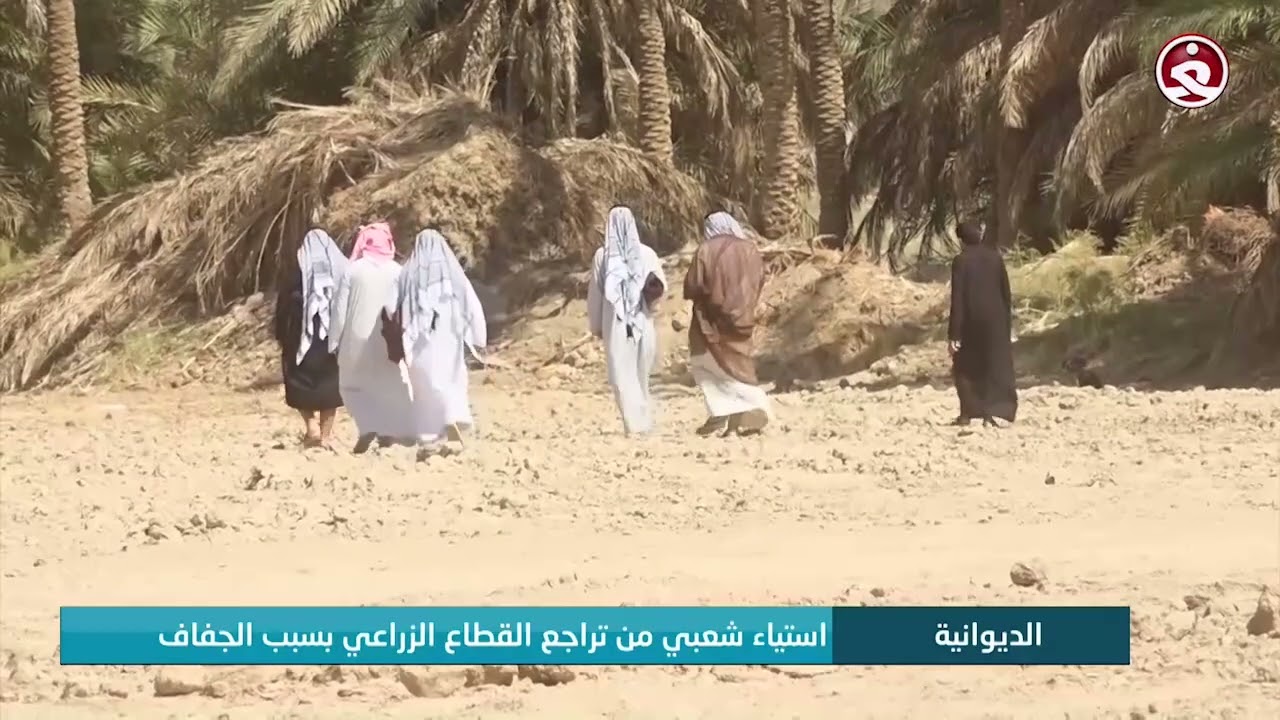 الجفاف يهلك القطاع الزراعي في الديوانية ومناشدات لتدارك الوضع