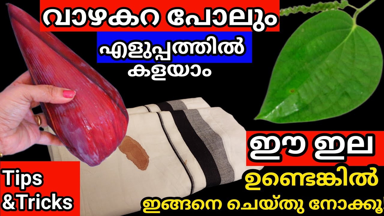 ഇതൊന്നു തൊട്ടാൽ വാഴക്കറ പോലും ഈസിയായി കളയാം|കുരുമുളകിന്റെ ഇല ഒരു സംഭവം തന്നെ|Tips And Tricks
