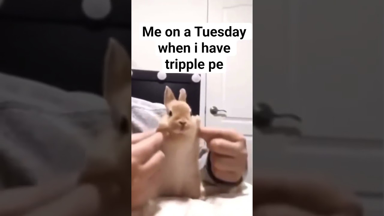 me on a Tuesday when I have triple pe 