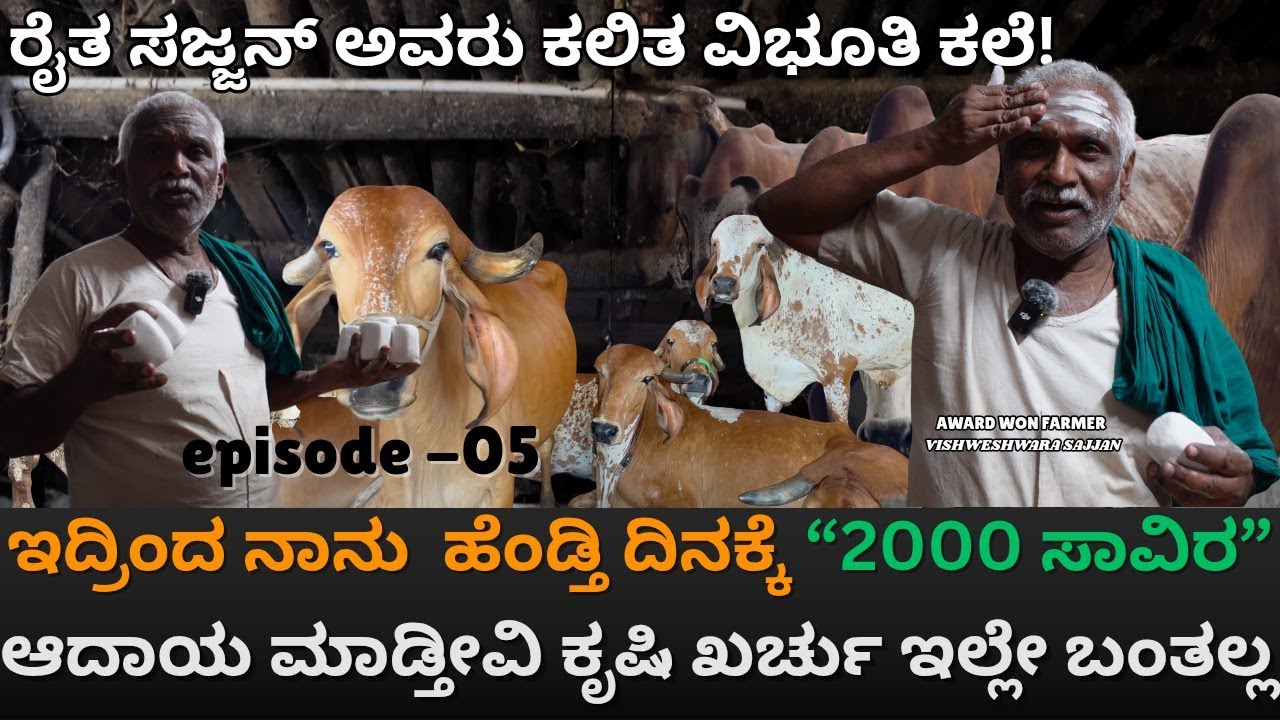 ಸಗಣಿ, ಗೋಮೂತ್ರದಿಂದ ದಿನಕ್ಕೆ 2000₹ ಸಾವಿರ ಬರುತ್ತೆ! vibhuti making process in Kannada| EP-05