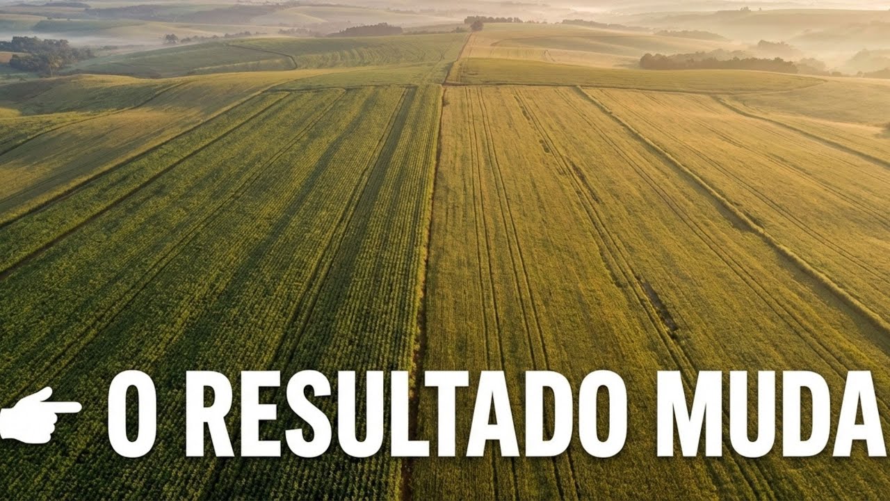Nem sempre o que foi planejado se confirma no campo