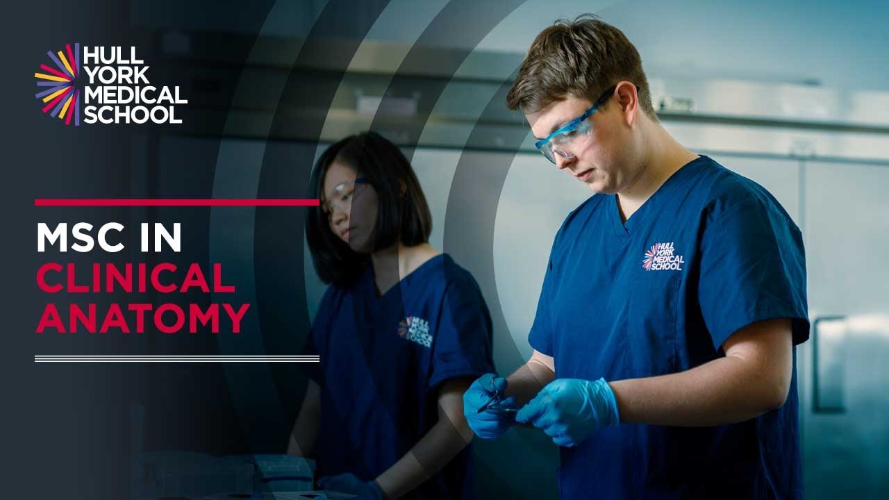 MSc in Clinical Anatomy