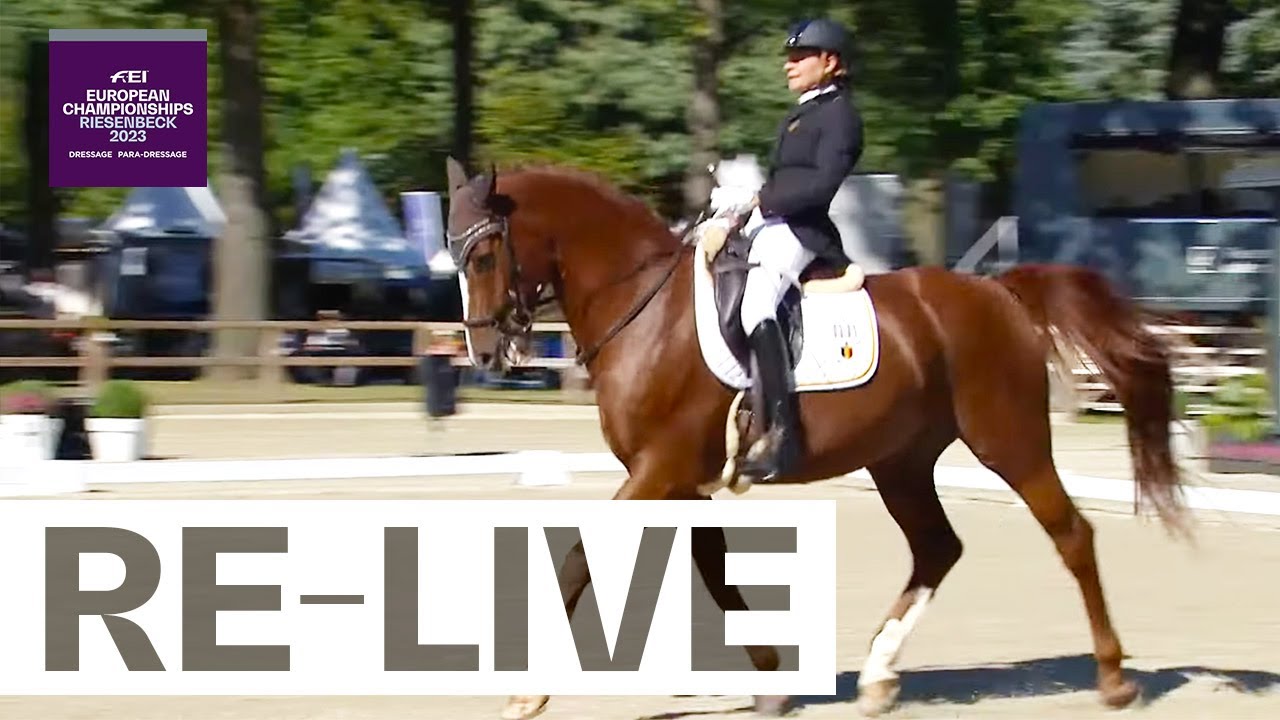 RE-LIVE | Individual Grade III - FEI Para Dressage European Championships 2023