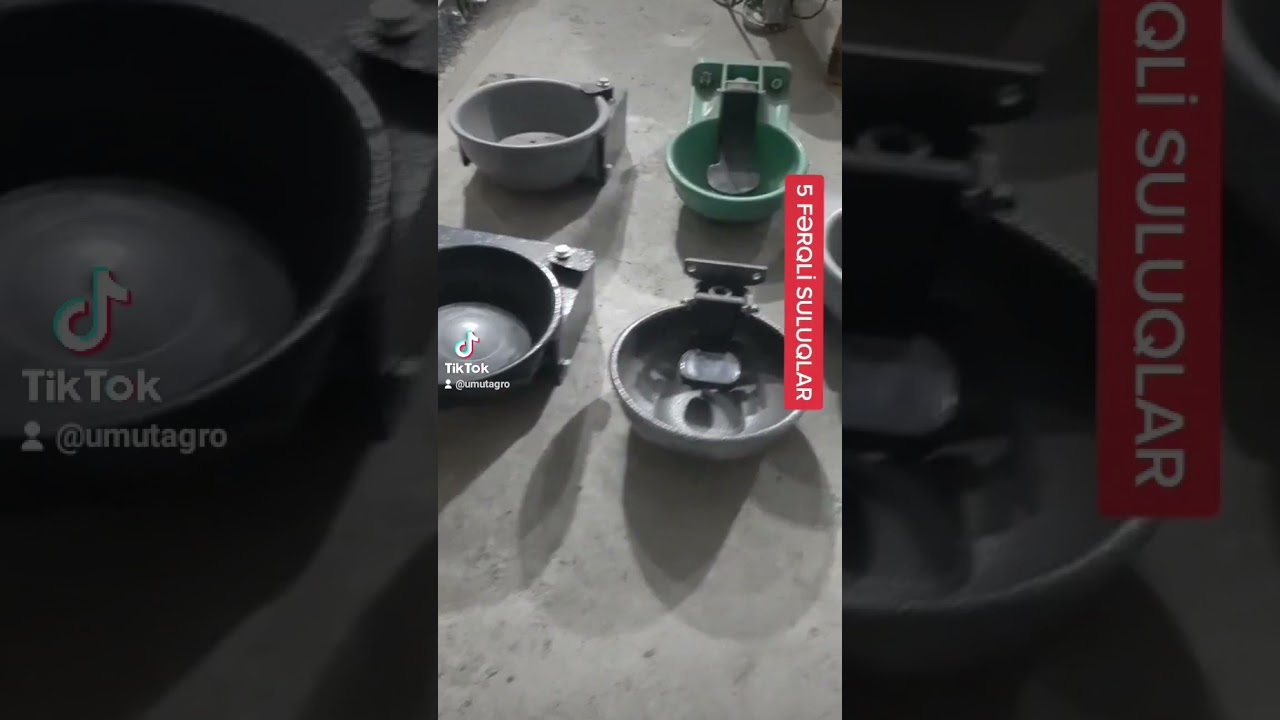 5 FƏRQLİ ÇEŞİDDƏ BUZOV ÜÇÜN SULUQ