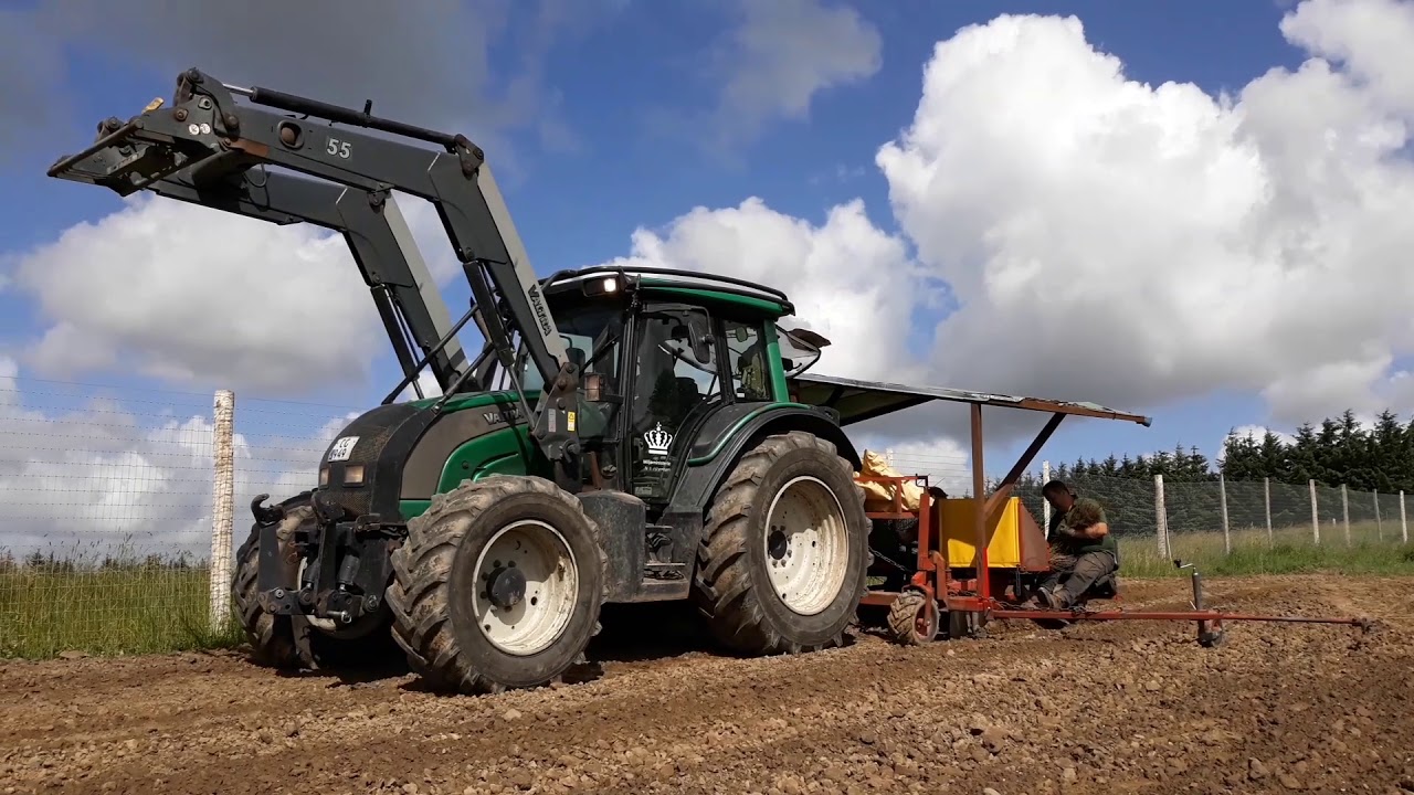 Slotved Plantning