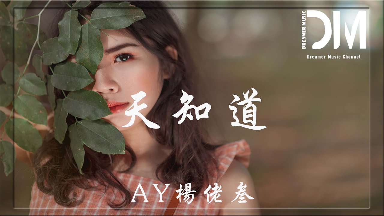 天知道 - AY楊佬三『回憶定格 春夏秋冬，卻未改變過對你的初衷』【動態歌詞】