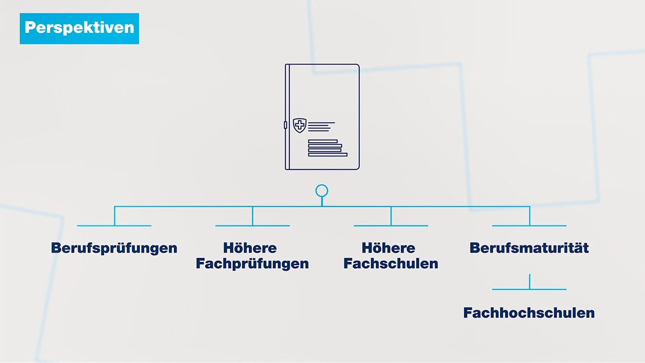 Die F&ouml;rderung der Berufsbildung durch den Bund