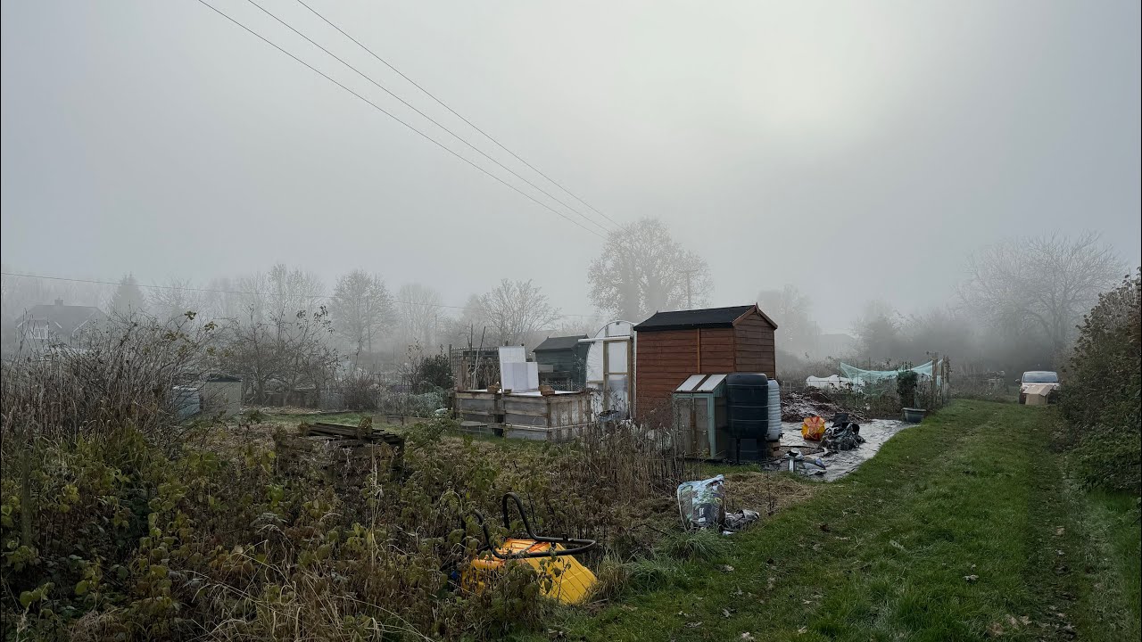 EP 49: Theft And Other Problems On The New Allotment! Plot no.9