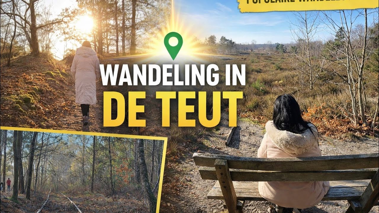 Waarom iedereen wil wandelen in De Teut 🍂 | Mooie natuurwandeling