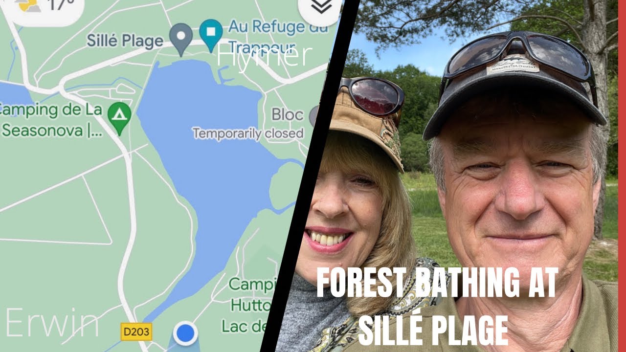 Forest Bathing at Sillé Plage
