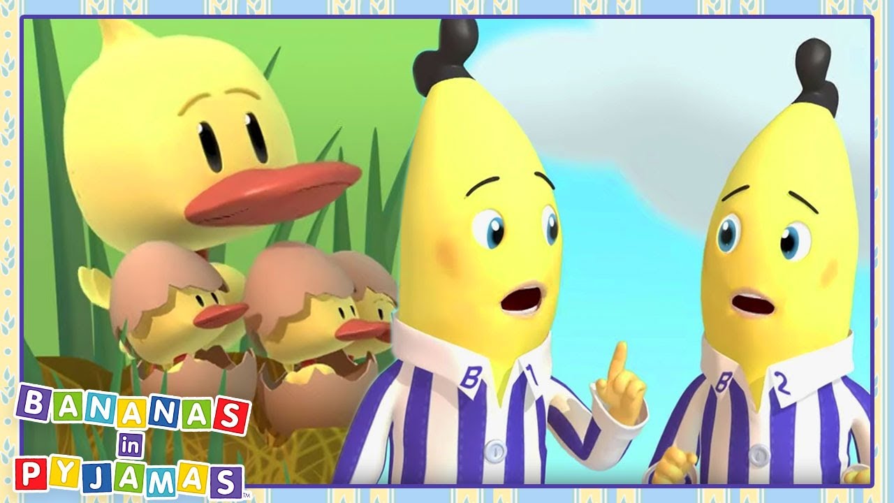 Bananas and the ducks! | Cartoons for Kids | Bananas In Pyjamas