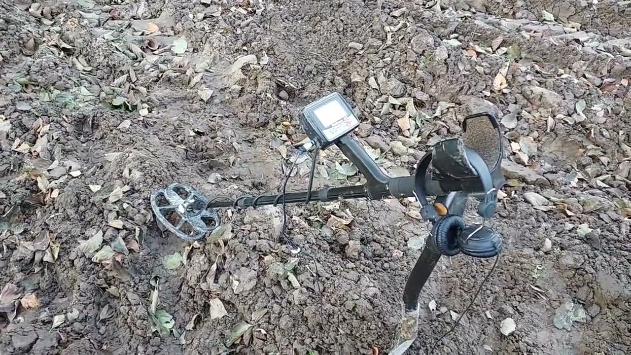 Wykrywacz metali Fortuna S-  omówienie, pierwsze wrażenia