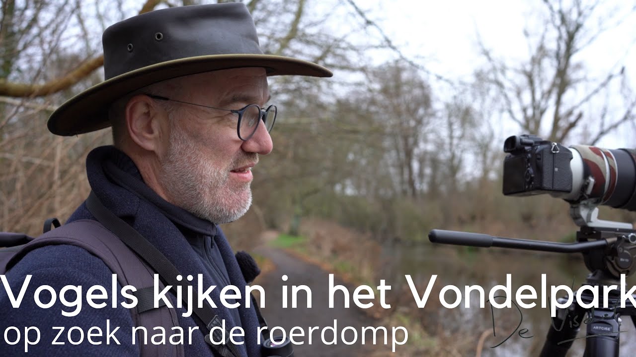 Vogels kijken in het Vondelpark op zoek naar de roerdomp #1683