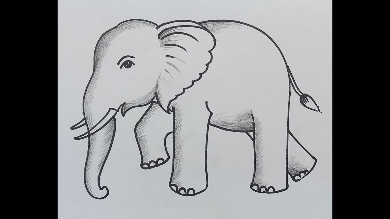 elephant drawing easy step by step || elephant drawing simple || how to draw a baby elephant
