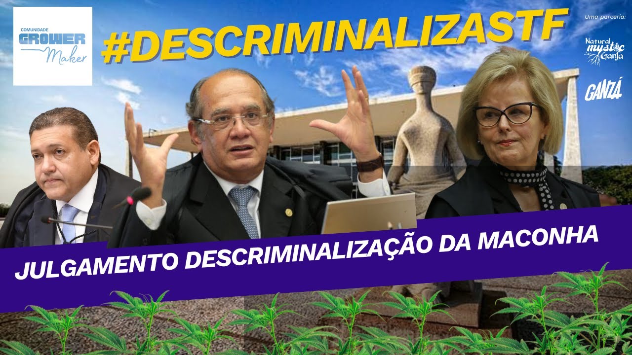 Ao Vivo: STF Julga Descriminaliza&ccedil;&atilde;o da Maconha - O Que Esperar?