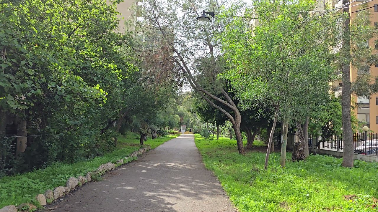 Ain El Remmaneh Garden |  Lebanon | 2026-01-23