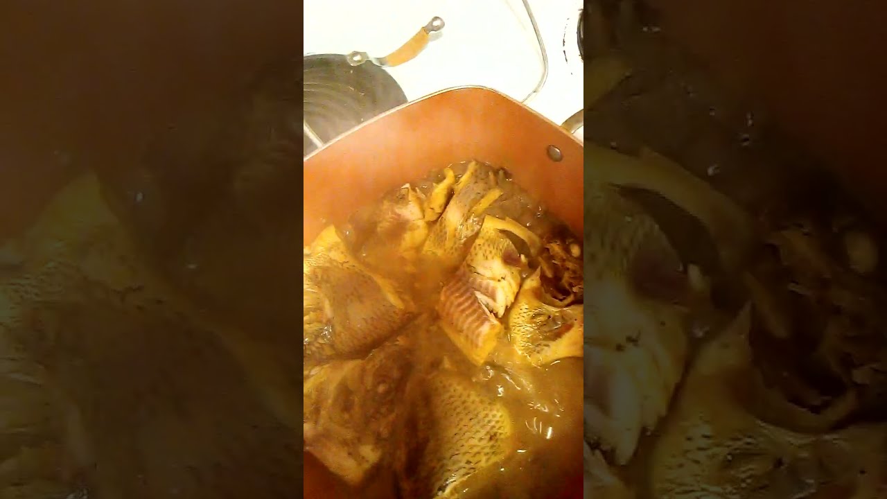 Fish's stew 