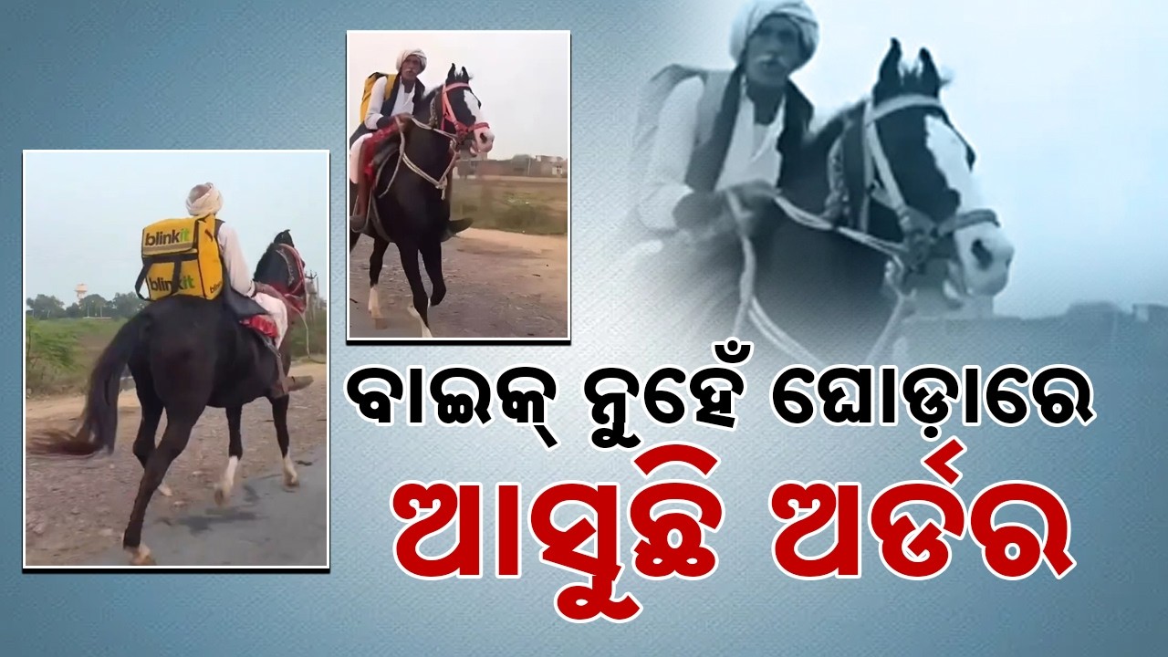 ଘୋଡ଼ାରେ ଆସୁଛି ଅର୍ଡର: Elderly Man Delivers Orders on Horseback in Rajasthan – Viral Video ! Sambad