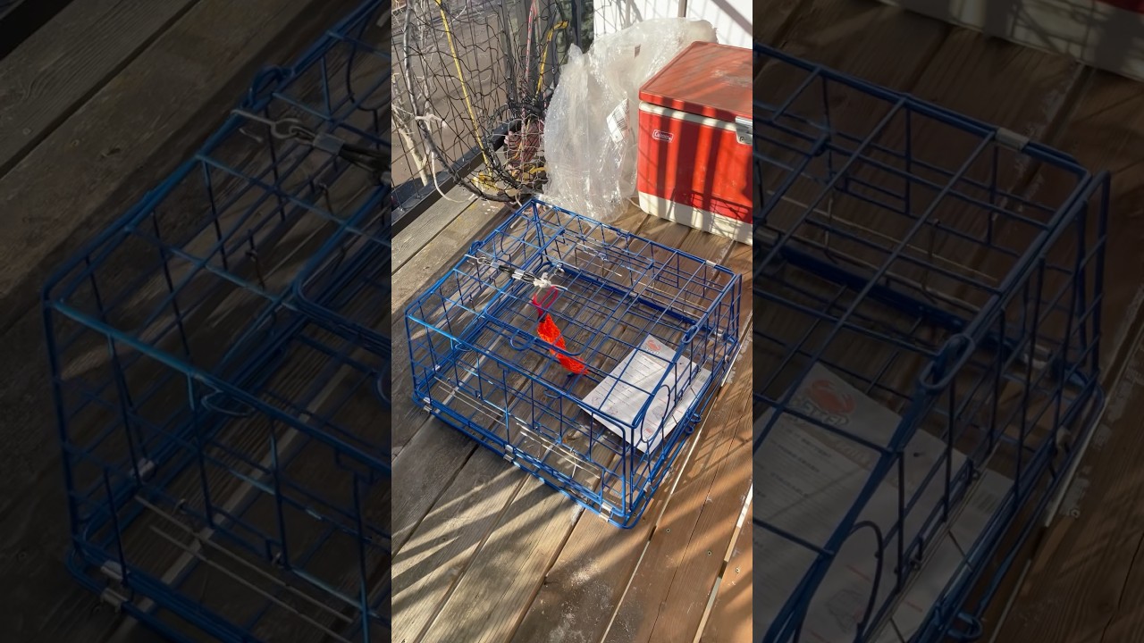 Better Crab Traps Stackable Crab Pots #crab #gear #fishing #oregon #crabbing #outdoors #camping