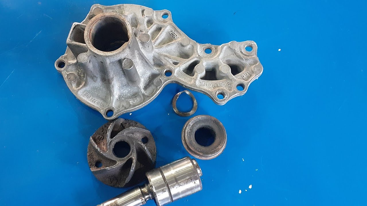 Veja como é internamente bomba d'água motor AP desmontada