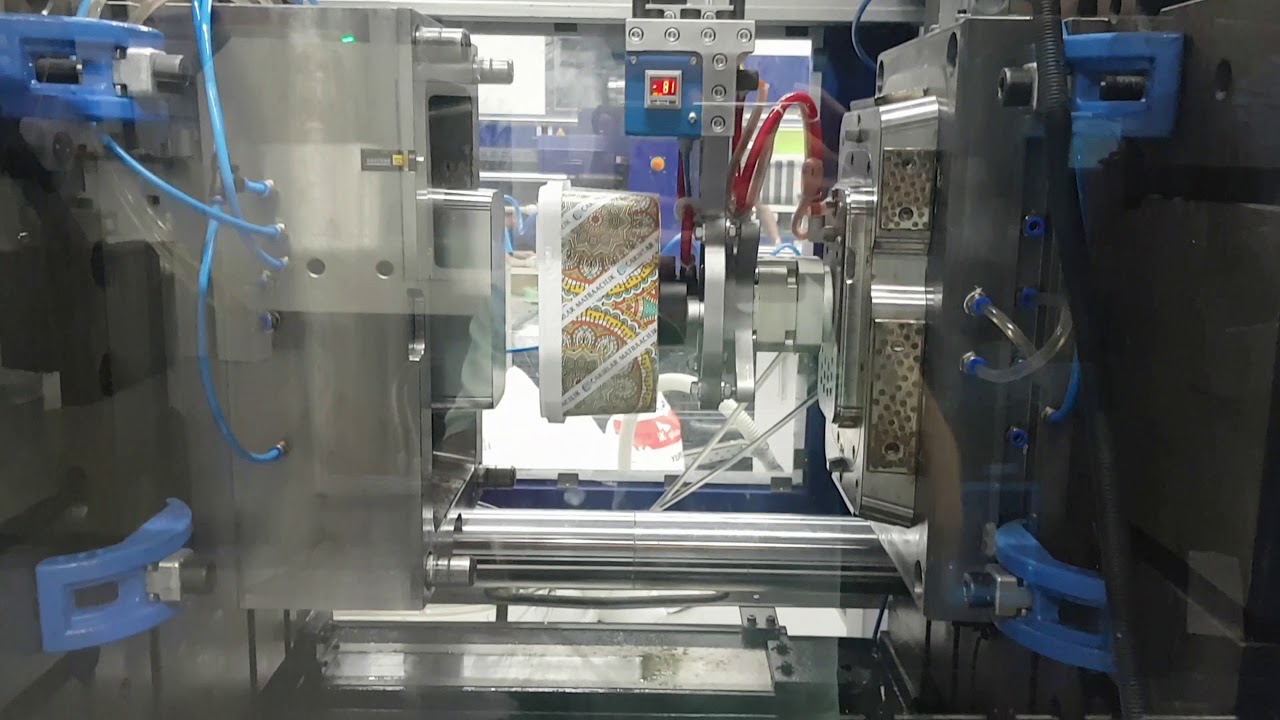 Çildan Mekatronik - 3 Ltr. to 12 Ltr. Pail - Top Entry IML Robot - 2018