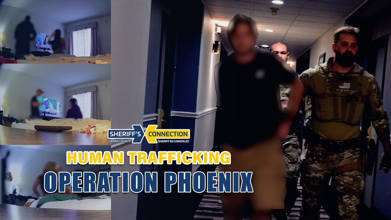 HCSO's Operation Phoenix