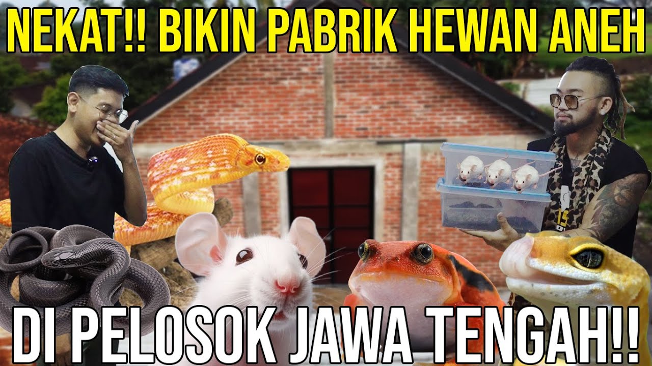 NEKAT!! BIKIN PABRIK HEWAN ANEH DI PELOSOK JAWA TENGAH!! #AudreyA #KINGOFTHEJUNGLE