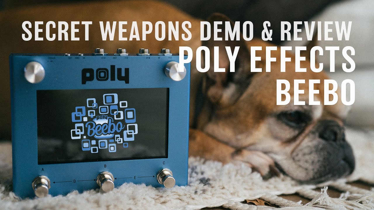 POLY Effects Beebo | Secret Weapons Demo & Review