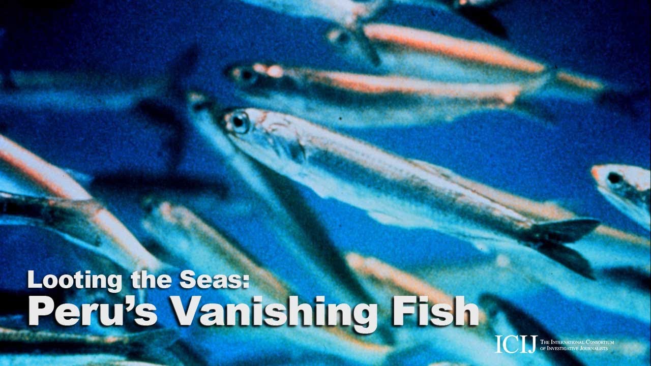 Peru's vanishing fish
