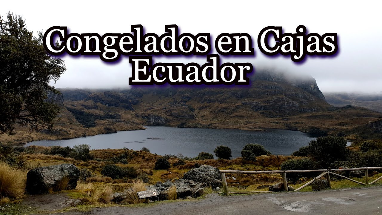 Congelados en el Parque Nacional de Cajas (Cuenca, Ecuador)