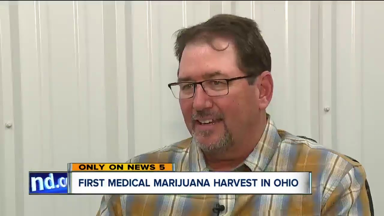 Cultivation facilities harvest medical marijuana while processors, labs, dispensaries await approval