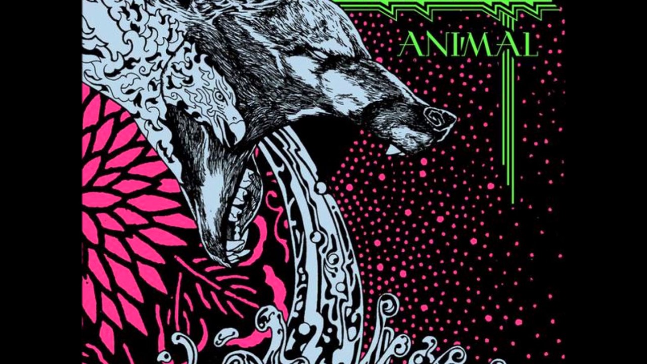 Animosity - Terrorstorm