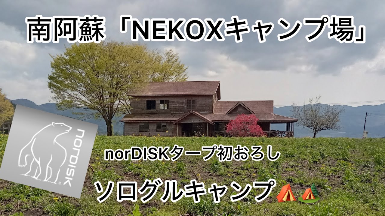 南阿蘇NEKOXキャンプ場でソログルキャンプ🏕️⛺️してきました！「norDISK」のヘキサゴンタープ　ソロキャンプでは充分なサイズ感でした！