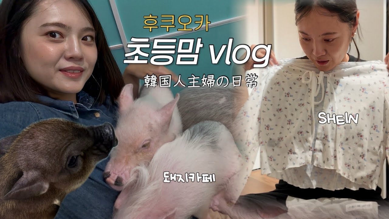 처음으로 구매해본 쉬인 하울📦쿠시카츠 뷔페도 가고 돼지카페도 가 본 후쿠오카일상