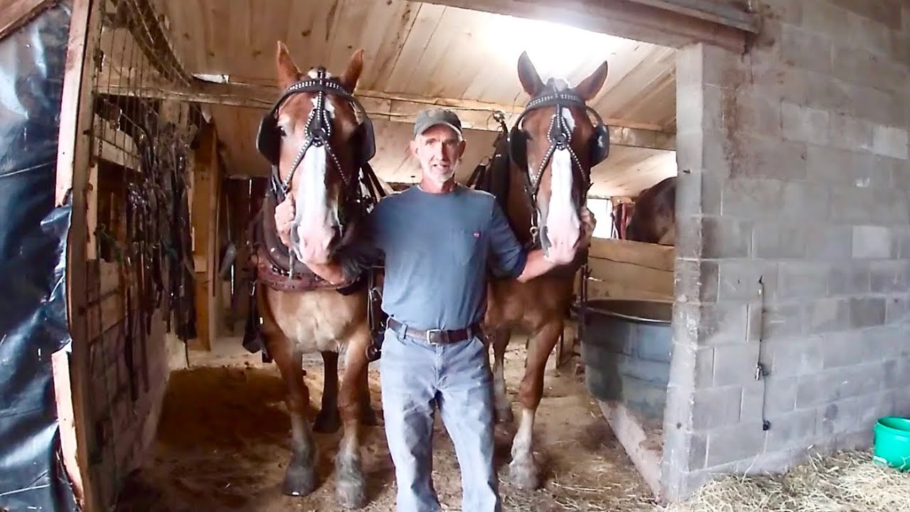 Мне нужно сходить в магазин амишей за кое-какими запчастями / Девочки дома!!!
