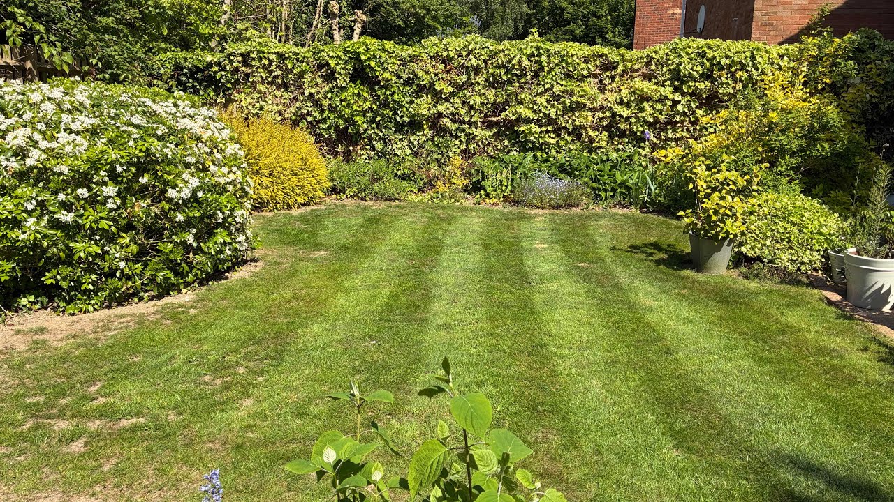 A week in the life of a UK gardener | Ep 05 | stripes are popping!