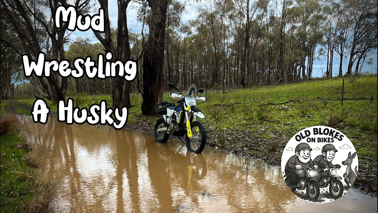 Mud Wrestling a Husky