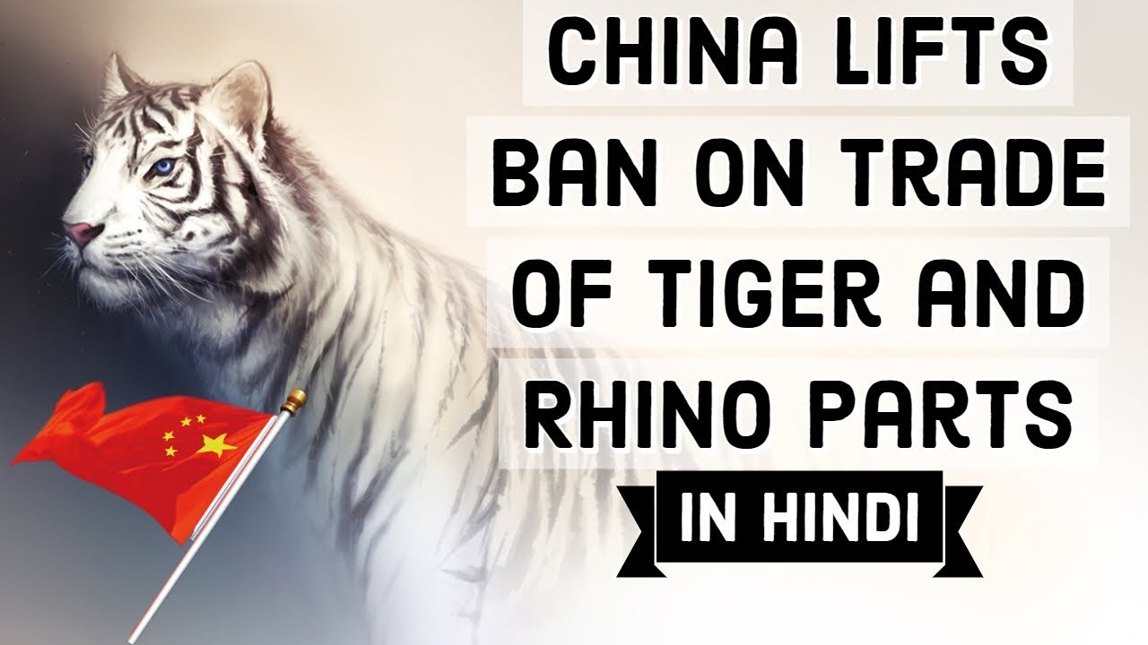 China lifts ban on Tiger & Rhino parts for medicine, Big blow for wildlife, Current Affairs 2018