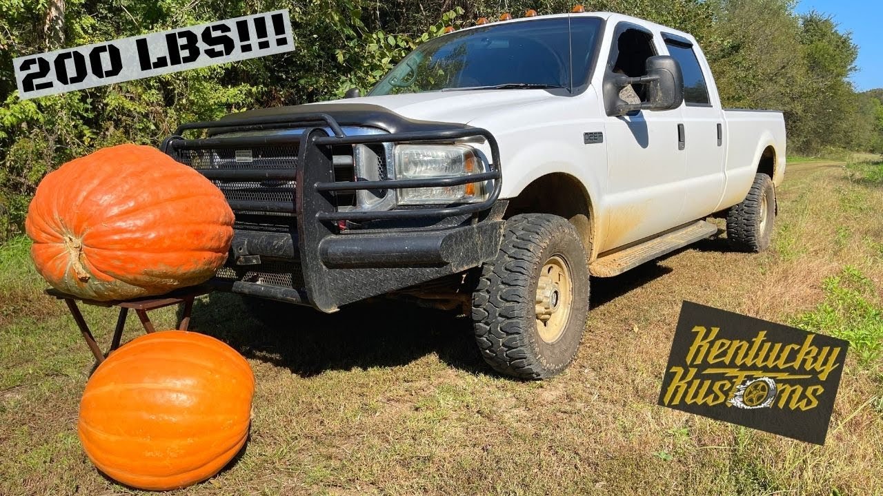 Ford F-350 vs GIANT 200 LB PUMPKINS !!! 🎃 (Wreck It Wednesday)